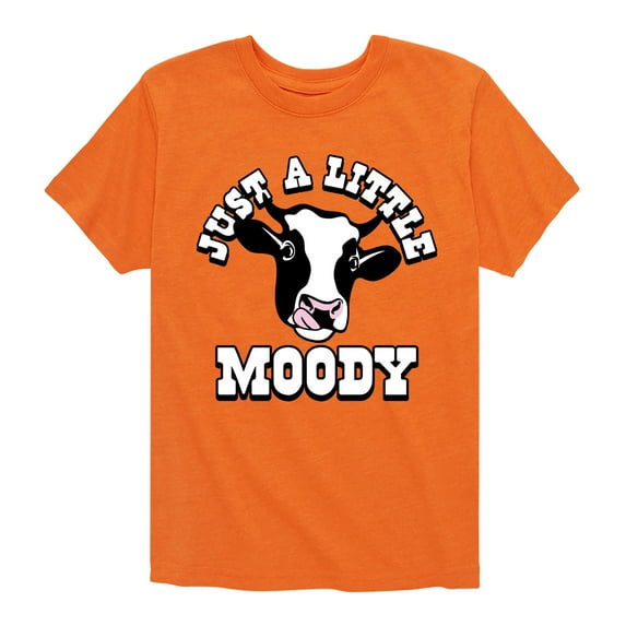 Instant Message - Just A Little Moody - Toddler & Youth Short Sleeve Graphic T-Shirt
