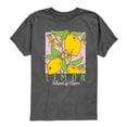 thumbnail image 1 of Instant Message - Lemon Island of Capri - Youth Boys Short Sleeve Graphic T-Shirt, 1 of 5