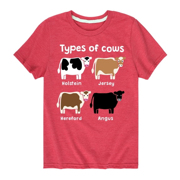 Instant Message - Types Of Cows - Toddler & Youth Short Sleeve Graphic T-Shirt