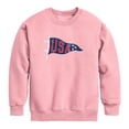 thumbnail image 1 of Instant Message - USA Pennant Graphic Fleece Sweatshirt, 1 of 4