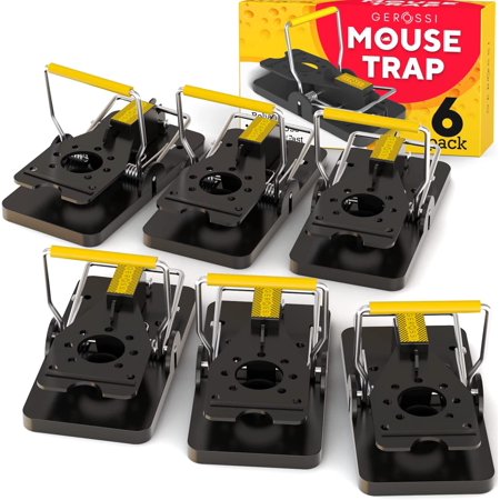 Instant Mouse Mice Traps Pack of 6 - for House, Indoor & Outdoor - Easy Setup & Reusable w/ Powerful Spring - Quick & Effective Mousetrap Catcher,
