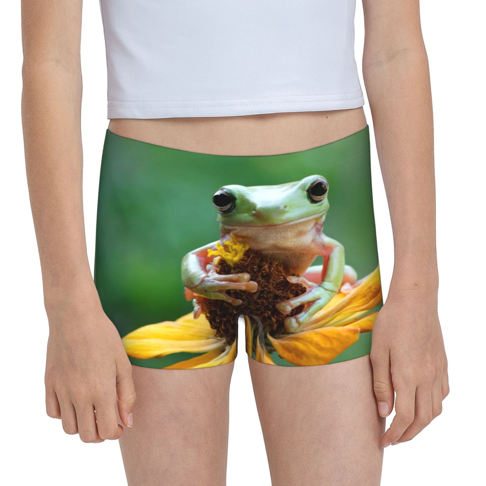 Easygdp Tree Frog Sitting On Sunflowes Girls Hipster Cotton Underwear
