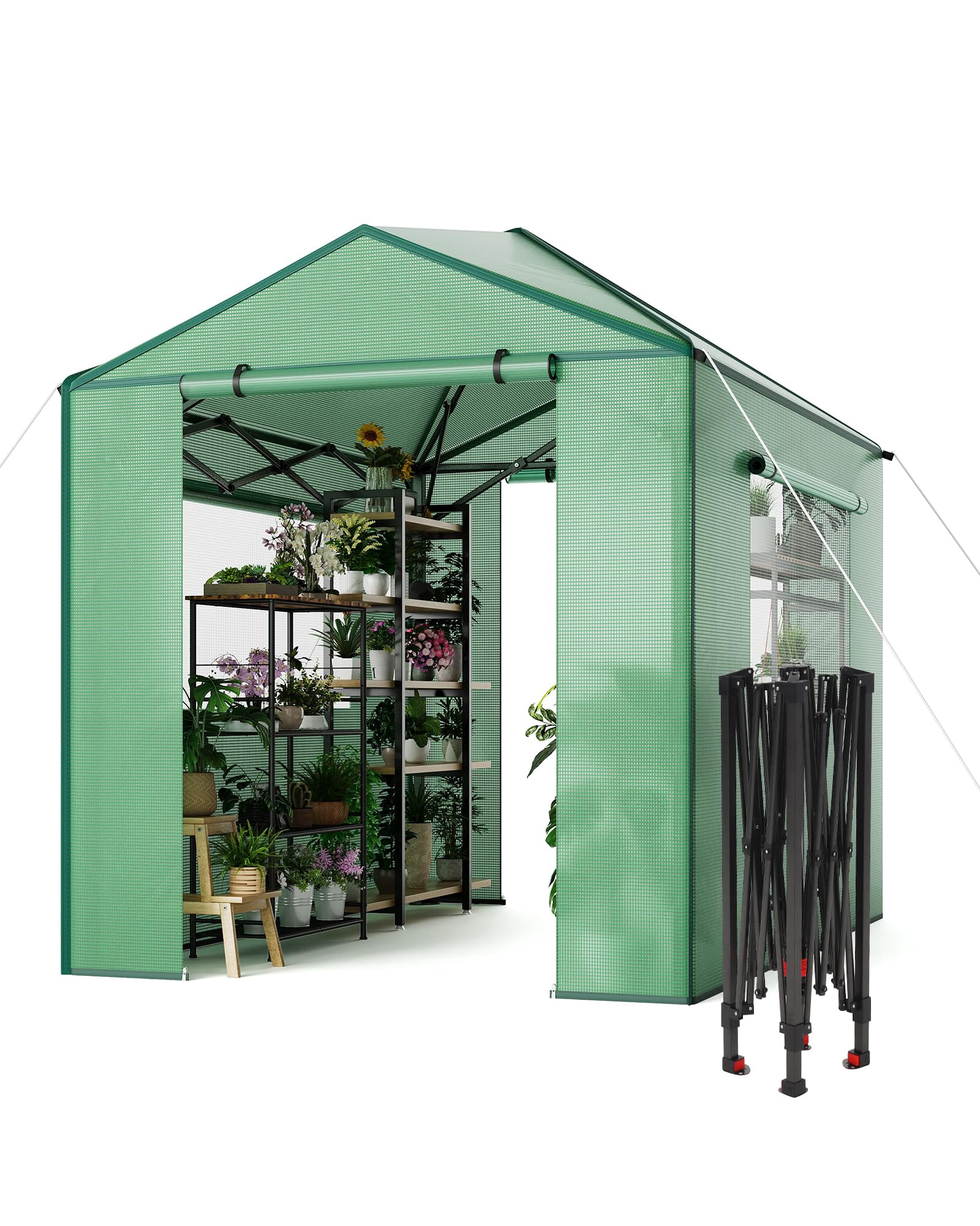 Instant Pop-up Greenhouse, Portable Indoor Outdoor Plant Gardening Green House, Roll-Up Zipper Doors and Side Windows, Walk in 8x12 ft, PE Cover, Green/Clear