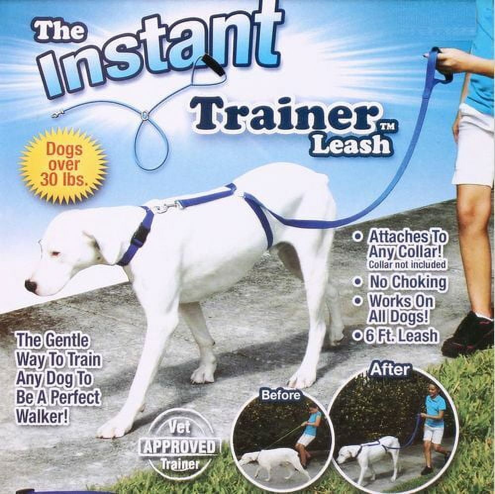 Leashes that stop dogs from pulling hotsell