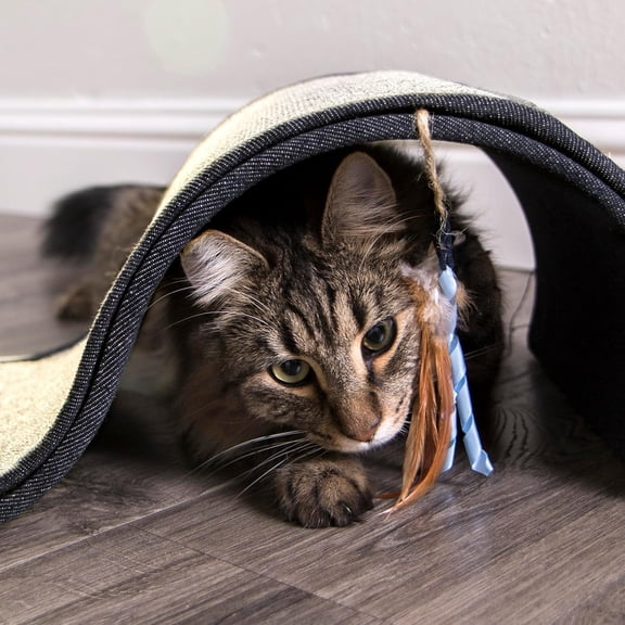 Instincts by SmartyKat Dream Curl Carpet & Sisal Cat Scratcher, Dual-Surface Curl for Scratching, Lounge & Hide for Cats & Kittens, Gray & Denim, One Size