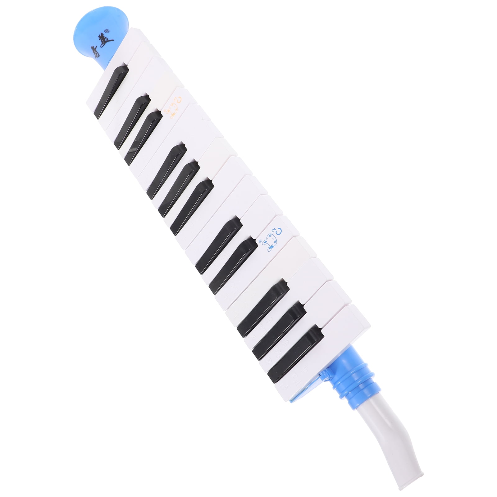 Instrument for Children Melodica Beginners Learning Student