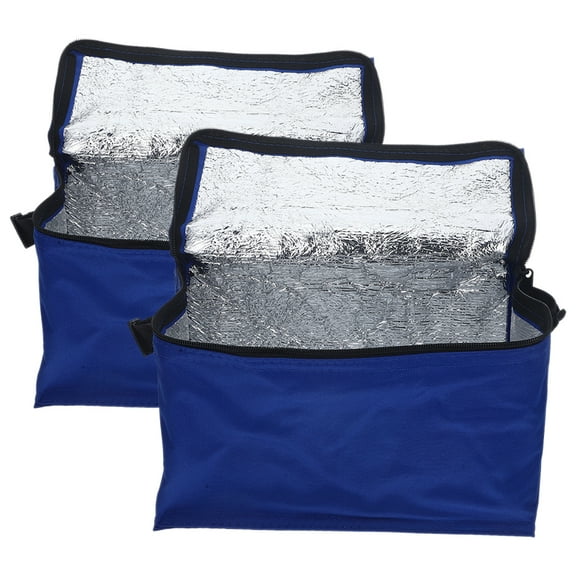 Insulated Bag Tote Bags Hand 2 Pcs Food Container Gift Picnic Small Soft Sided Cooler Insulation Oxford Cloth