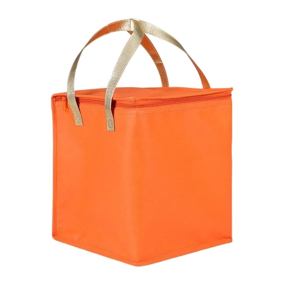 Insulated Cake Bag, Non Woven Zipper Cooler with Aluminum Foil Thermal Lining, 35 x 35 x 40 cm Portable Carrier for Cake Pizza Catering Outdoor Picnic and Food Transport Use