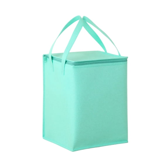 Insulated Cooler Bag Mint Green 11 X 11 X 14 Inch Large Capacity Zip Closure for Delivery and Gifting