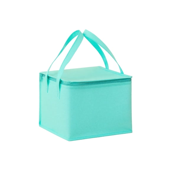 Insulated Cooler Bag Single Layer 6 Inch Capacity for Transport and Gifting