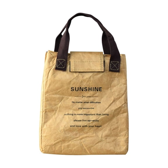 Insulated Lunch Bag Leakproof Thermal Lunch Box Tote Reusable Food Storage Bag, Temperature Control Aluminum Lining Durable Design Large Capacity, for Work Office Picnic Outdoor Travel