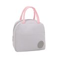 thumbnail image 1 of Insulated Lunch Bag | Reusable Tote Bag for Work and School, Thermal Bags for Cold and Hot, Insulated Lunch Bag for Women, 1 of 6
