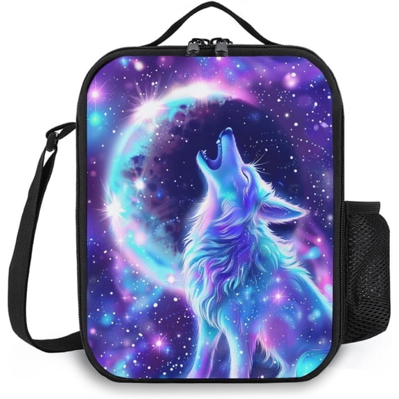 Insulated Lunch Bag for Men and Women in Stylish Patterns Large Capacity