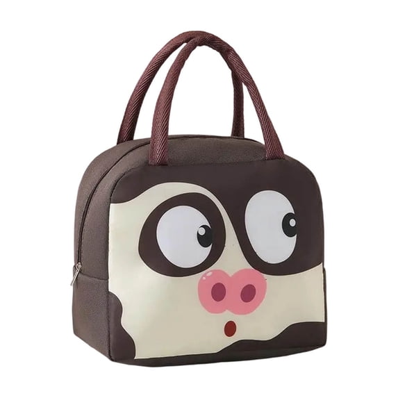 Insulated Lunch Box Bag, Portable Convenient Thermal Bag for Work Class Students, Aluminum Foil Bento Carrier