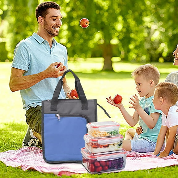 Insulated Picnic Bag Food Delivery Bag Foldable Insulated Cooler Bag Insulated Bag For Ice Cubes Vegetables, Usupdd 2025 Insulated Picnic Bag Food Delivery