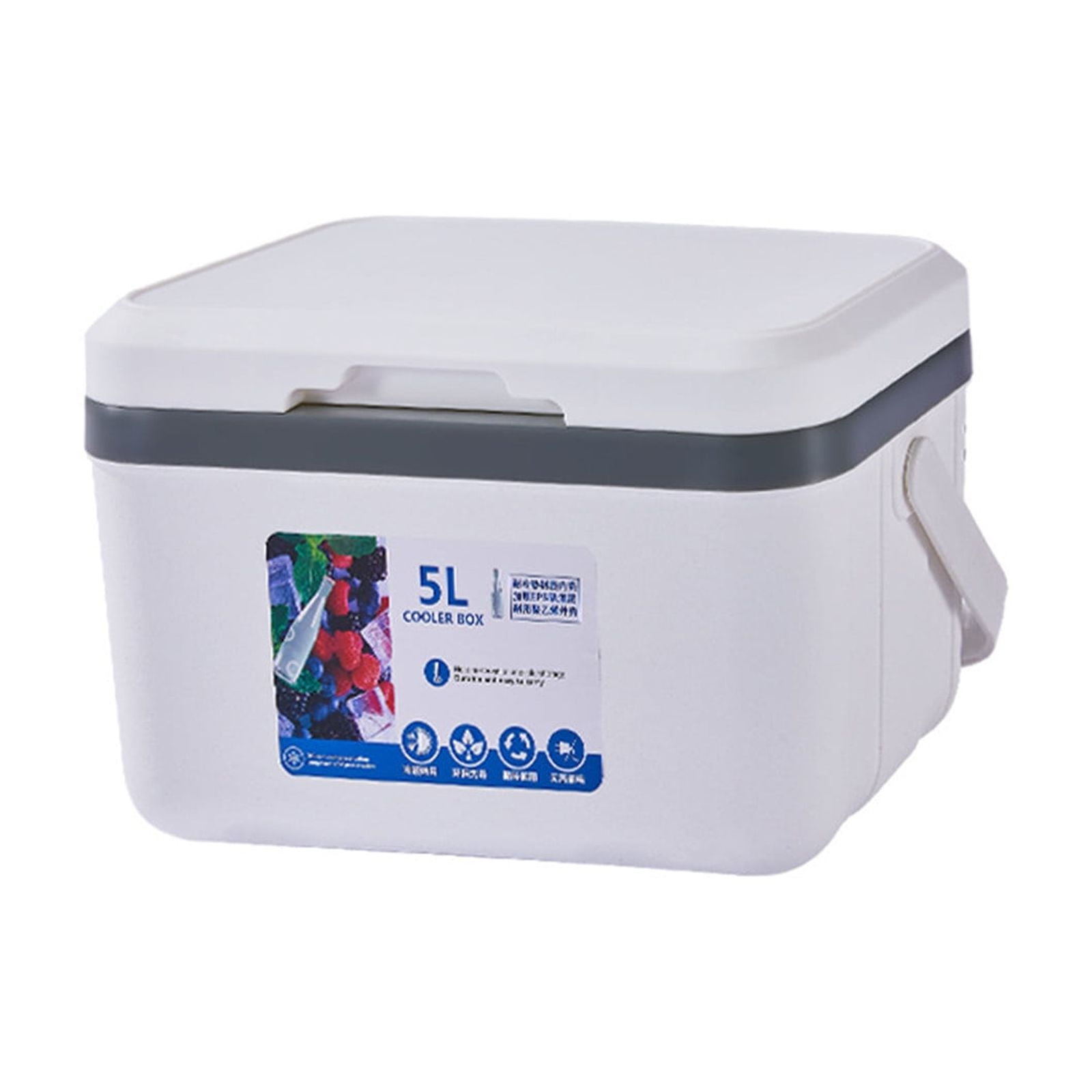 Insulated Portable Cooler Small 5L Leak-Proof Ice Chest Lunch Box Hard Coolers for BBQ, Camping, Pincnic (White)