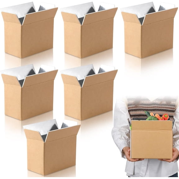 Insulated Shipping Box Cold Double Insulated Carton with Foil Foam Cooler Boxes Delivery Moving Kits Foam Shipping Containers for Mailing Packing, Box Inside 8.7'' x 4.5''x 6.1''(6 Pcs)
