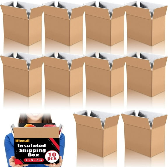 Insulated Shipping Boxes,10 Pack Cold Shipping Boxes for Frozen Food,Chill Insulated Shipping Box with Foil Foam Liner,Reusable Insulated Shipping Containers Mailing Carton,Inside 8 x 4 x 5 in