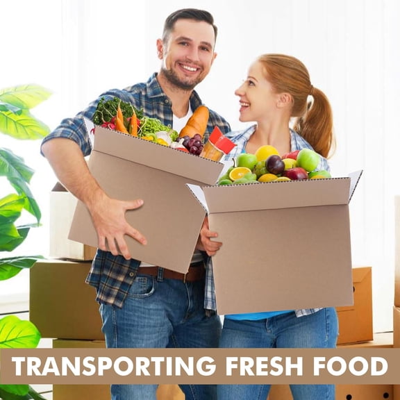 Insulated Shipping Boxes for Shipping Frozen Food-15.7" x 11.8" x 7.87" (6 Pack), Large Foil Cooler Carton Moving Kits for Mailing Packing, Reusable Cold Shipping Box with Insulation