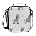 thumbnail image 1 of Insulated Square Lunch Bag with Side Mesh Pocket Fashion Lunch Box Reusable Lunch Tote 10.5" x9.5" x3.5" Grey Cute Donkeys Pattern, 1 of 6