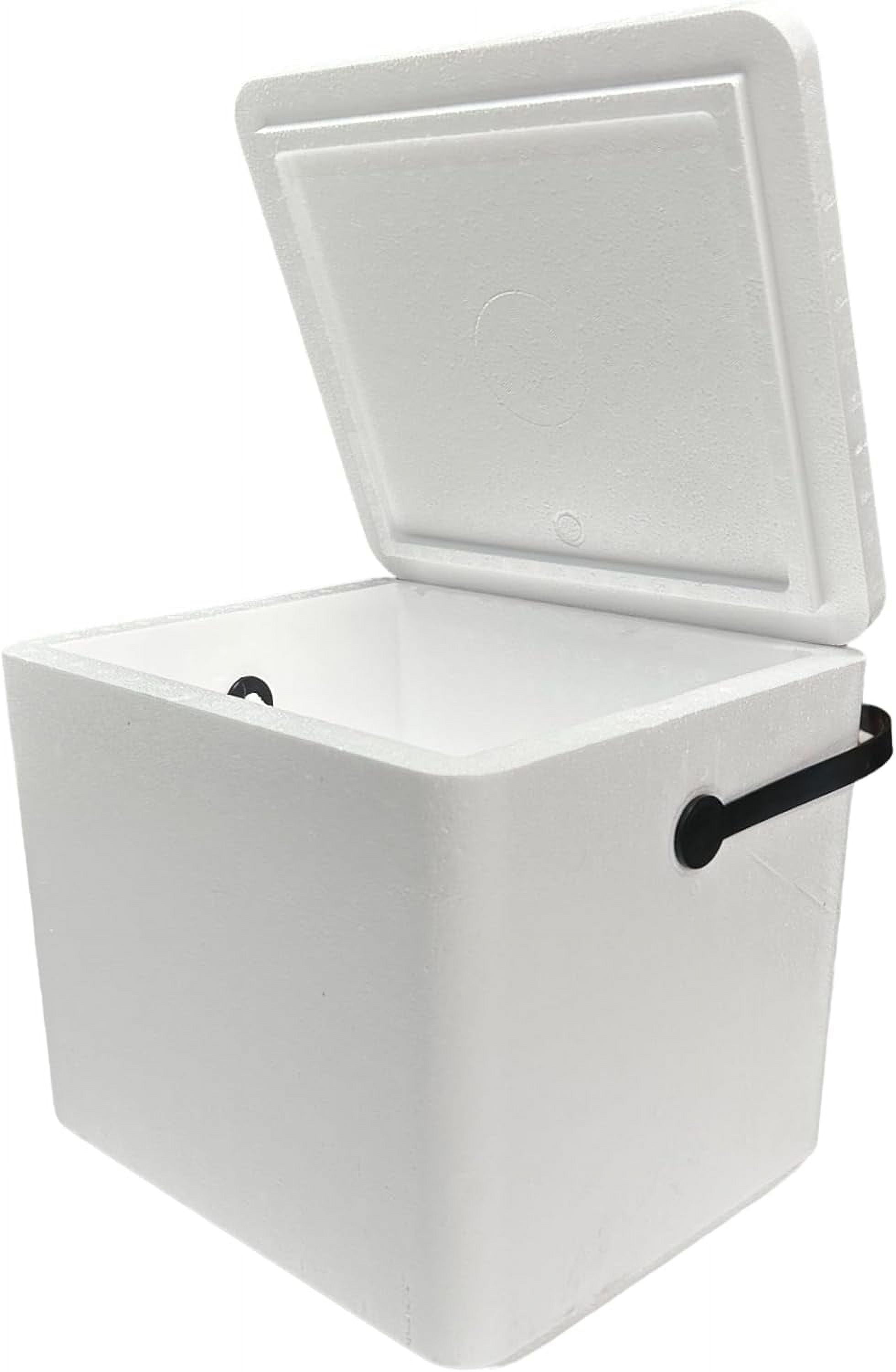 Insulated Styrofoam Cooler, 22 qt Capacity, with Carrying Handle