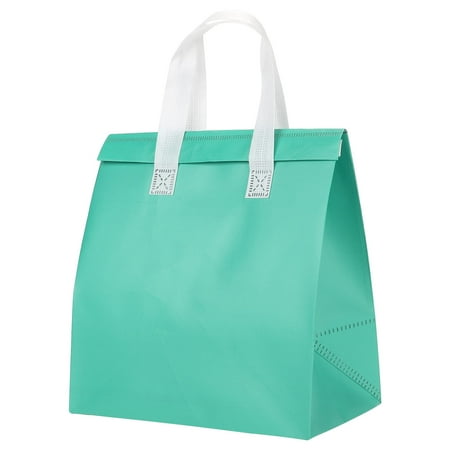Insulated Take Away Bags, 25 Pcs Thermal Bags 9.4 x 5.9 x 10.2 Inch Mint Green