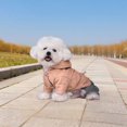 thumbnail image 1 of Insulated Winter Dog Jacket With Attached Hood For Small Medium Large Breed Outdoor Windproof Cold Weather Cozy Apparel, 1 of 4