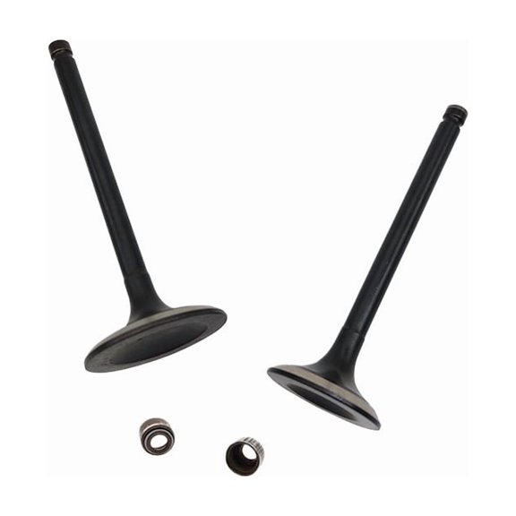 Intake Exhaust Valve Seal Kit for Hisun Forge 400 450 500 550 Loncin 14711-002-0000 14721-002-0000 91225-002-0000