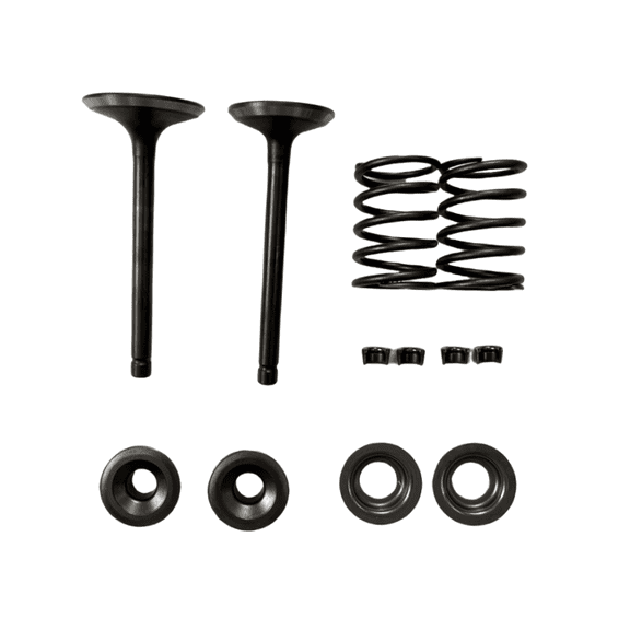 Intake Exhaust Valve and Spring and Retainer Kit for PREDATOR Inverter Generators 9500-Watt Surge / 7600-Watt Running (SKU# 71365, 59188) for DuroMax XP9000iH XP9500iH Inverter Generator
