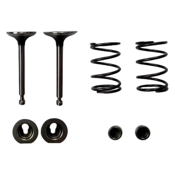 Intake Exhaust and Spring and Retainer Kit for Predator 3500-Watt Super Quiet Inverter Generator
