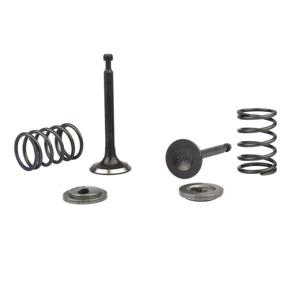 Intake Inlet Exhaust Valve Spring Retainer Stem Seal Lock Kit for Honda GX35 GX35NT HHT35S String Trimmer Brushcutter