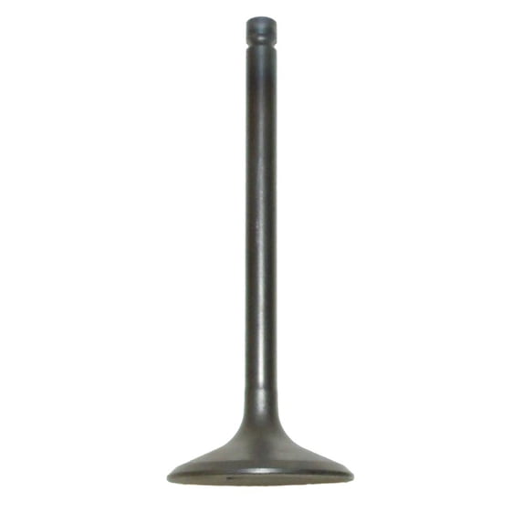 Intake Valve Compatible with 2004-2014 Yamaha Grizzly 350 Bruin 350 ...
