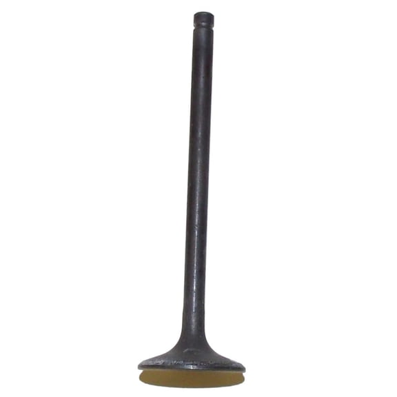 Intake Valve Compatible with 1986-1988 Honda ATC 125 TRX 125 FourTrax 124cc Air Cooled 4-Stroke OHC 2-Valve Required Fitment Replaces 14711-HB6-000