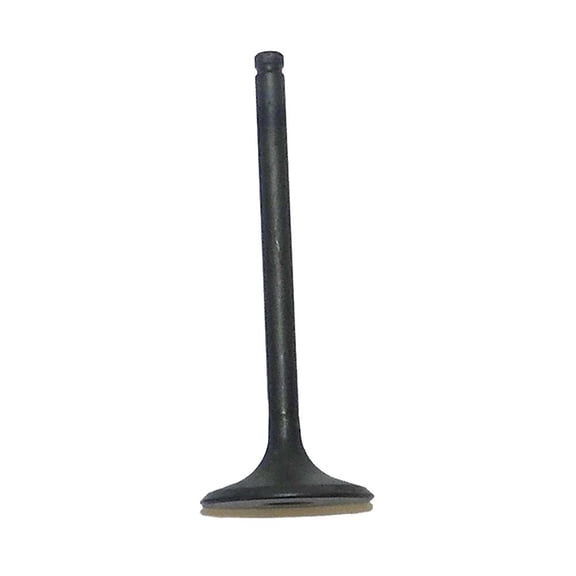 OEM Grade Intake Valve Compatible with 1997-2001 Honda TRX 250 Recon 229cc Air Cooled 4-Stroke OHV Single Cylinder 14711-HM8-000 Required Fitment Range