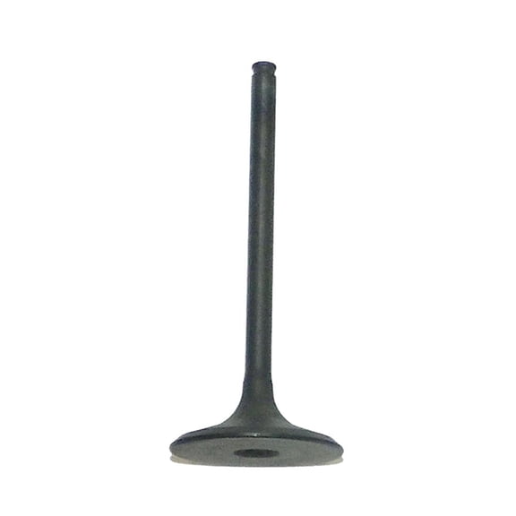 OEM Grade Intake Valve Compatible with 2004-2005 Honda TRX 450R 450cc Liquid Cooled 4-Stroke SOHC 4-Valve Single Cylinder 14711-HP1-670 Required Range