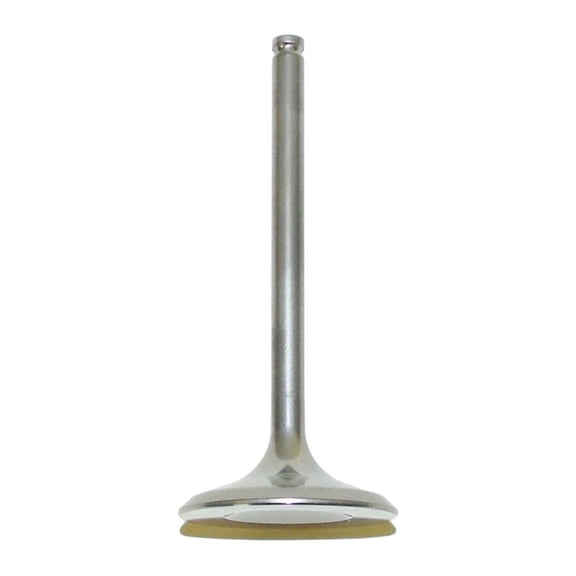 OEM Grade Intake Valve Compatible with 2006-2009 Suzuki RM-Z450 RMZ450 LT-R450 QuadRacer 449cc DOHC 4-Valve Liquid-Cooled Motocross ATV Steel Sport 1291145G00 Replaces 12911-45G00