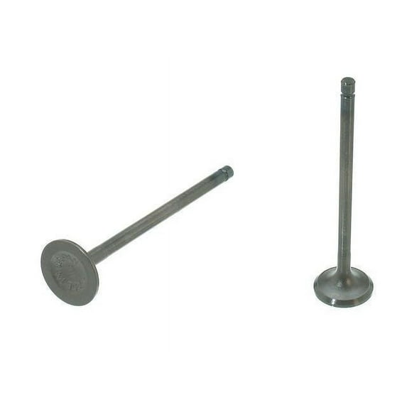 Intake Valve - Compatible with 1984 - 1989 Honda Accord 1985 1986 1987 1988