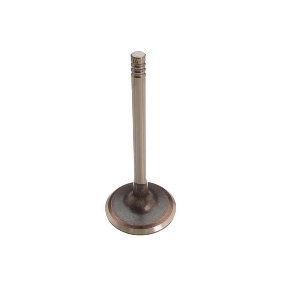 Intake Valve - Compatible with 1987 - 1991 BMW 325is 1988 1989 1990