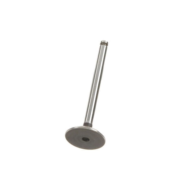 Intake Valve - Compatible with 1987 - 1992 Volkswagen Golf - AE