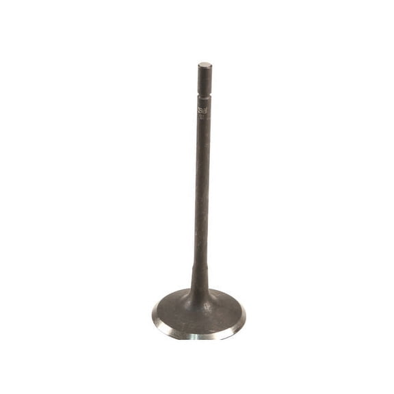 Intake Valve - Compatible with 1997 - 2006 Jaguar XK8 1998 1999 2000 2001 2002 2003 2004 2005