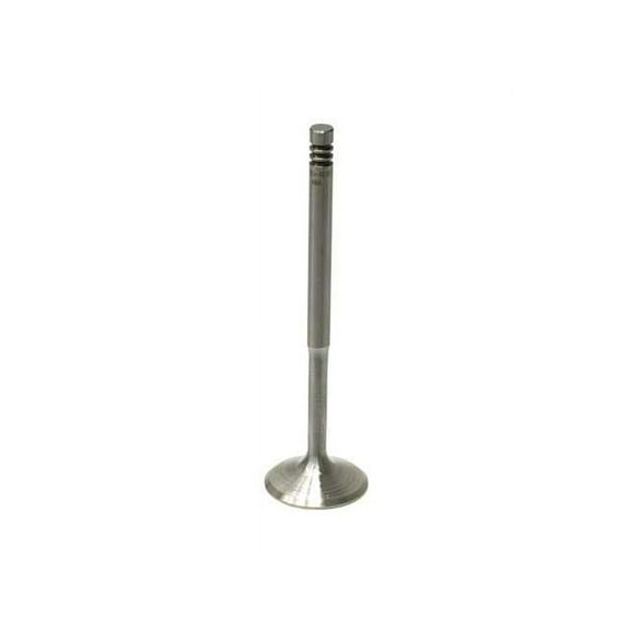 Intake Valve - Compatible with 2004 - 2009 Audi S4 - SM Engine Parts