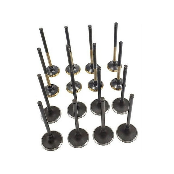 Intake Valve Kit - Compatible with 2003 - 2011 Honda Element 2004 2005 2006 2007 2008 2009 2010
