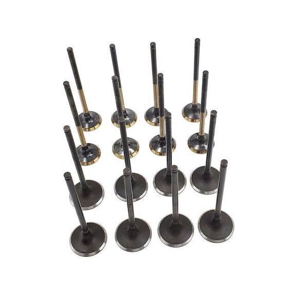 Intake Valve Kit - Compatible with 2007 - 2012 Acura RDX 2.3L 4-Cylinder K23A1 i-VTEC 16-Valve Turbocharged DOHC 2008 2009 2010 2011