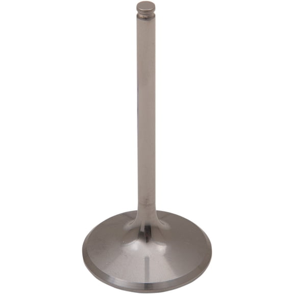 Intake Valve - Titanium
