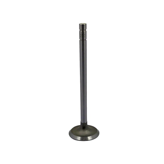 Intake Valve only Fits International Tractor 362435R1