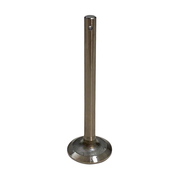 Intake Valve only Fits Massey Tractor 1750070M1