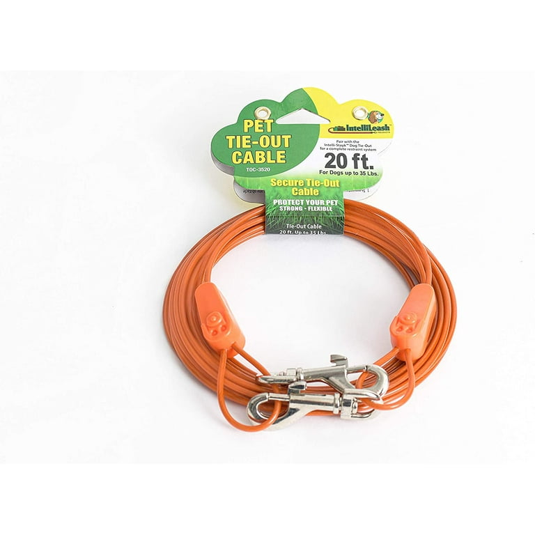 Intellileash store