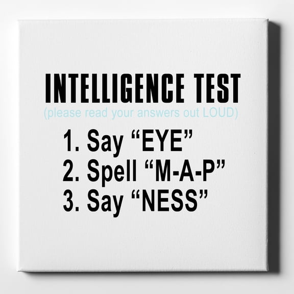 Intelligence Test (I Am A Penis) - 10" x 10" - Decorative Canvas Wall Art - White Edge - 5/8" Gallery Wrapped