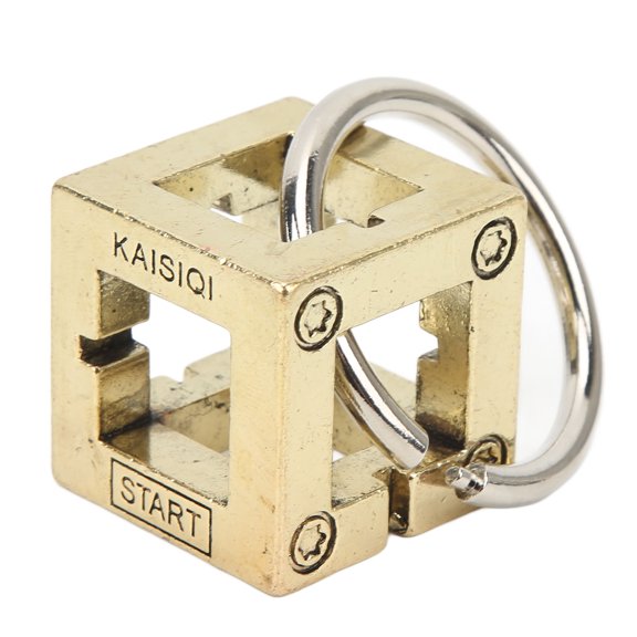 Intelligent Brainteaser: Metal Puzzle, Unique Design Decoration, Stimulates Creativity Observation, Mental Exploration, Hand Coordination Skills, Stress Reduction, Suitable All