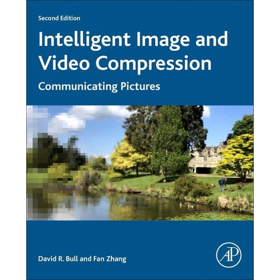 Intelligent Image and Video Compression: Communicating Pictures, (Paperback)
